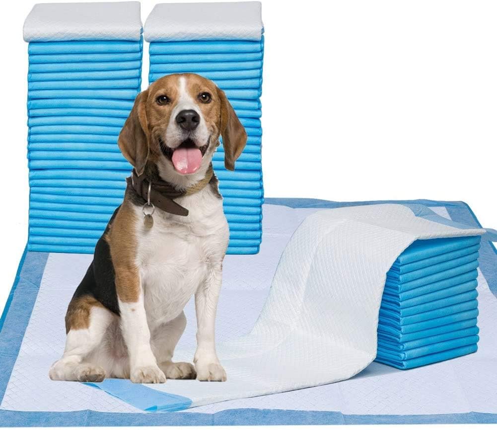 Dog Training Pads B M at Dorothy Shirley blog