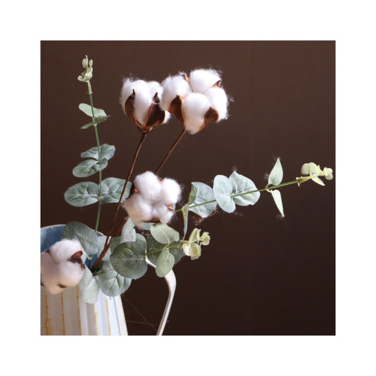 Fleurs séchées en coton avec 4 feuilles d'eucalyptus