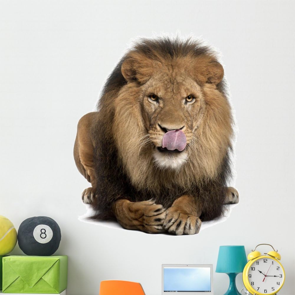 Wallmonkeys WM298047 Lion Licking Lips Peel and Stick Wall Decals, 48" H x 47" W-Extra Large