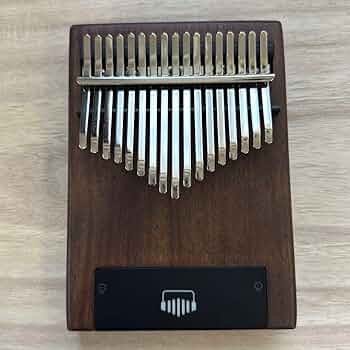 Dual Kalimba / デュアルカリンバ ケース、付属品あり 51UKCv9TuqL.jpg