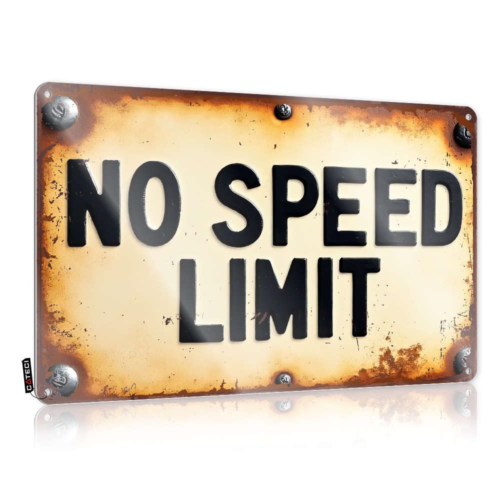 Fzfn Colour No Speed Limit Accessory Pretty - Retro Decorations Wall Art Decoration(30X40cm)