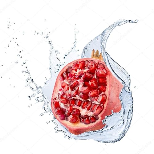 Miniatura 2 de Adirondack - Bebida mejorada con sabor a fruta de granada, 16.9 onzas líquidas (paquete de 4) + Soda Cola Refreshing Market Basket 20oz + Coffee