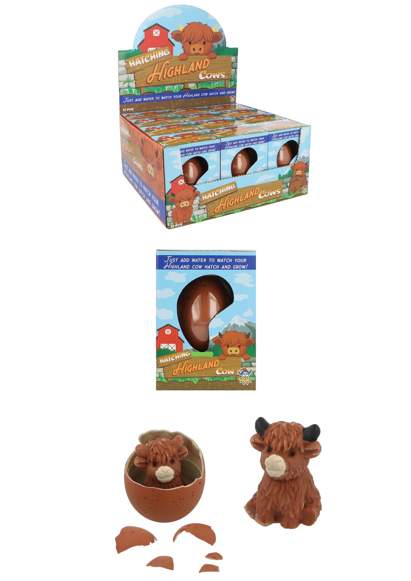 HENBRANDT 6x Hatching Highland Cow Eggs - Water Grow Magic Toy