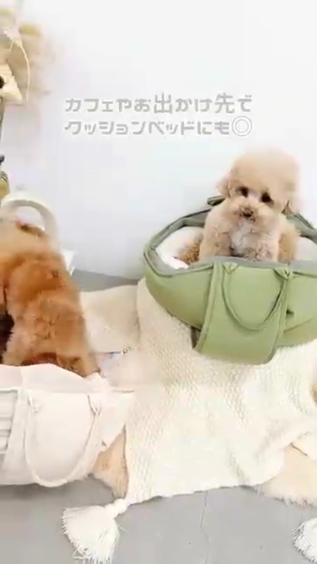 Amazon.co.jp: monchéri モンシェリ [2wayハンモック型メッシュ