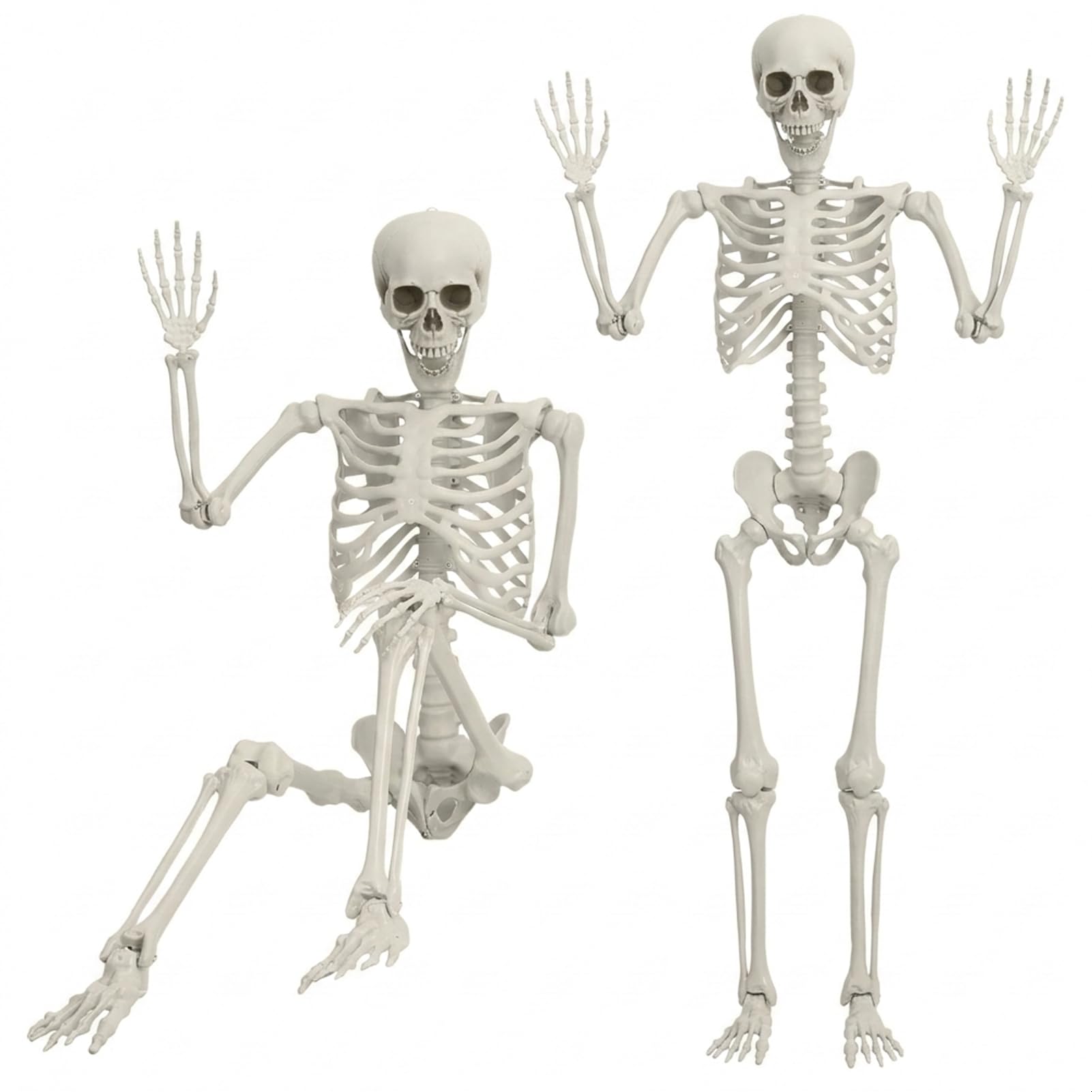 Makamsui skeleton 5.4Ft/165cm Halloween Poseable Full Body Human Bones with Movable Joints for Indoor/Outdoor Decorations 170cm