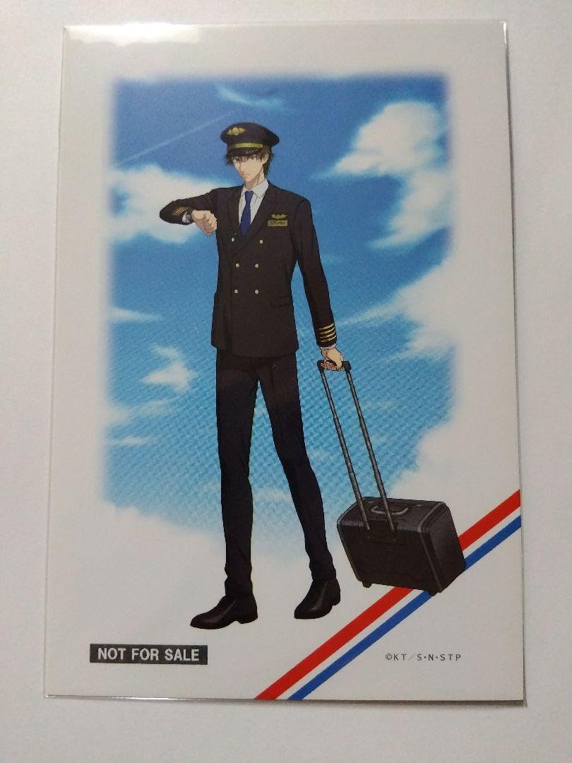 Amazon.co.jp: テニプリ 手塚国光 パイロット 特典 ポストカード