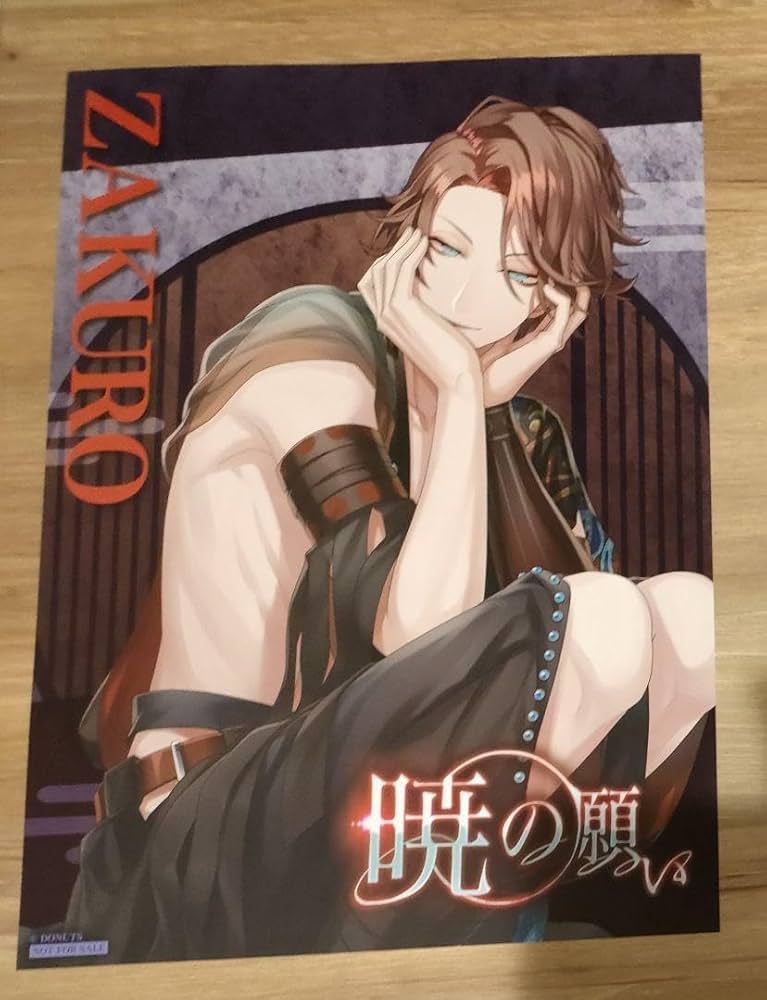 ブラスタ 柘榴 セット フォトカード ブラスタ 柘榴 セット フォトカード ブラックスター ブラスタ