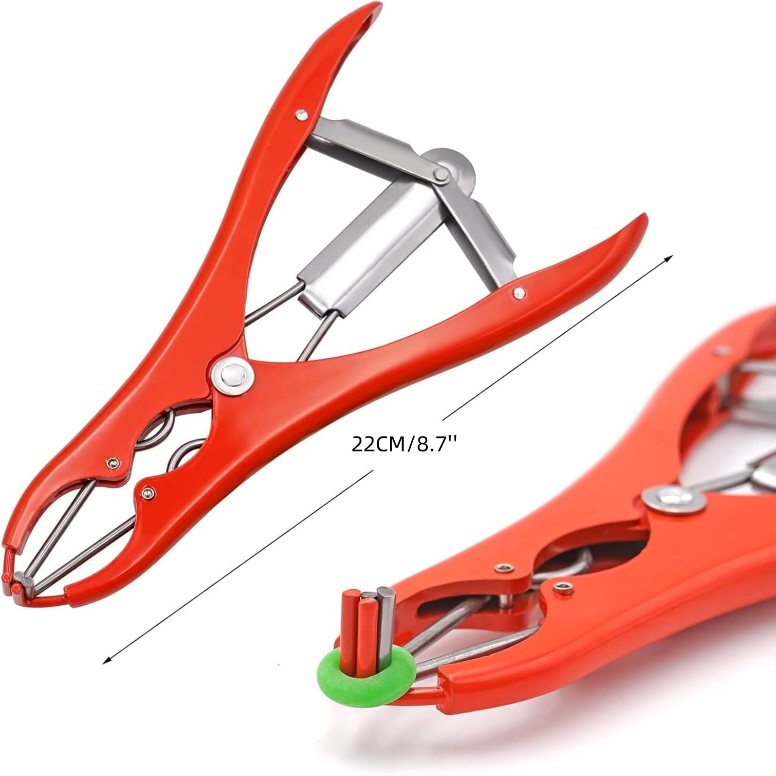 Pinza per castrazione di animali con 100 anelli di gomma, pinza di espansione per bovini, pecora, maiale, castrazione, pinze per dispositivi veterinari (rosso)