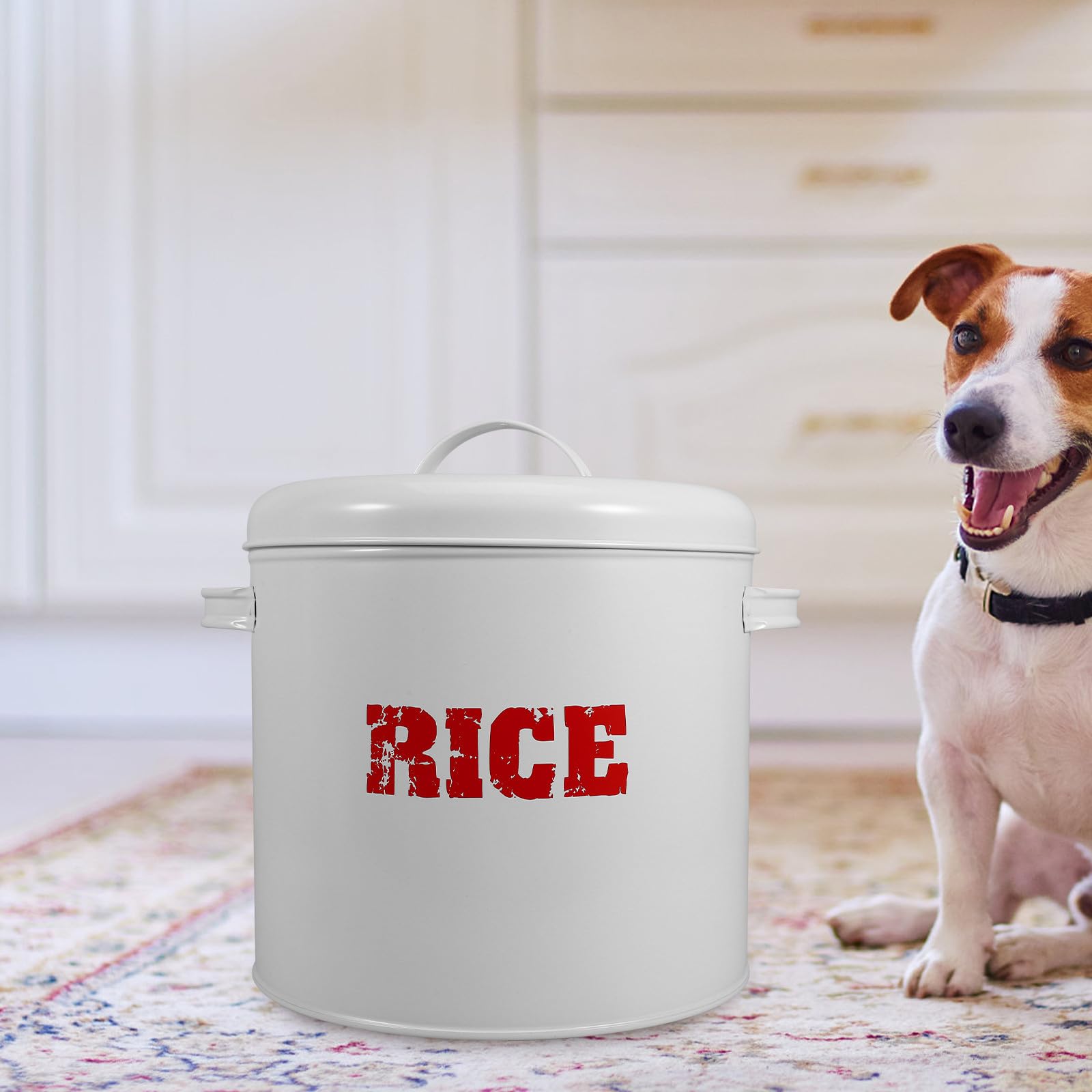 iplusmile Contenitore Cibo Cani Sigillato Grande Capacità in Ferro Zincato