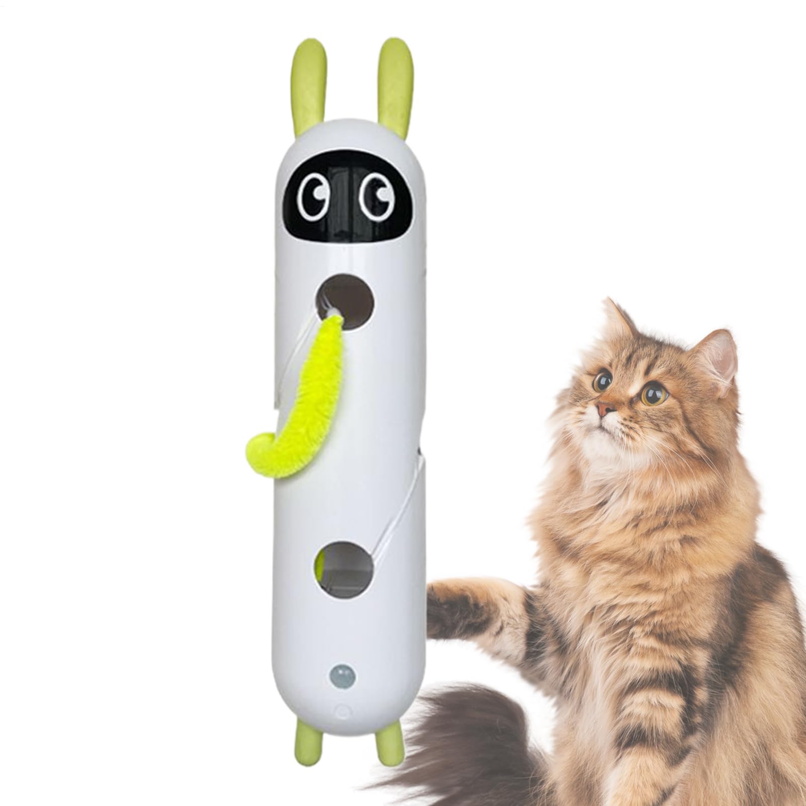 Renforcement du cerveau des chats tristes grâce au jeu d'enrichissement d'intérieur