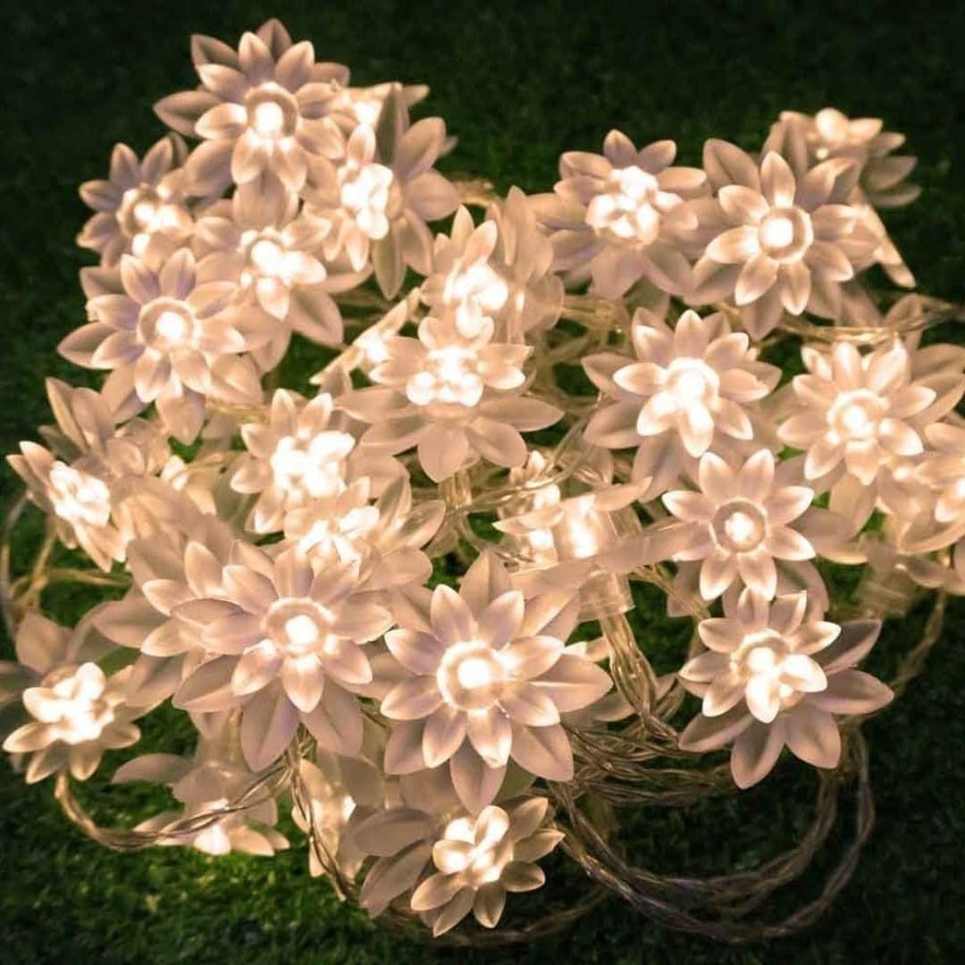 See full amazon price history chart for Wanna Party Lotus Flower String Lights for Home Decoration Diwali, Ganesh Chaturthi, Janmashthami Light for Party, Birthday, Christmas Navratri Valentine (4 Meter 14 LED, Warm White) Wanna Party Lotus Flower String Lights for Home Decoration Diwali, Ganesh Chaturthi, Janmashthami Light for Party, Birthday, Christmas Navratri Valentine (4 Meter 14 LED, Warm White) (B0DCK5J1H1) Amazon Price History, Amazon Price Tracker