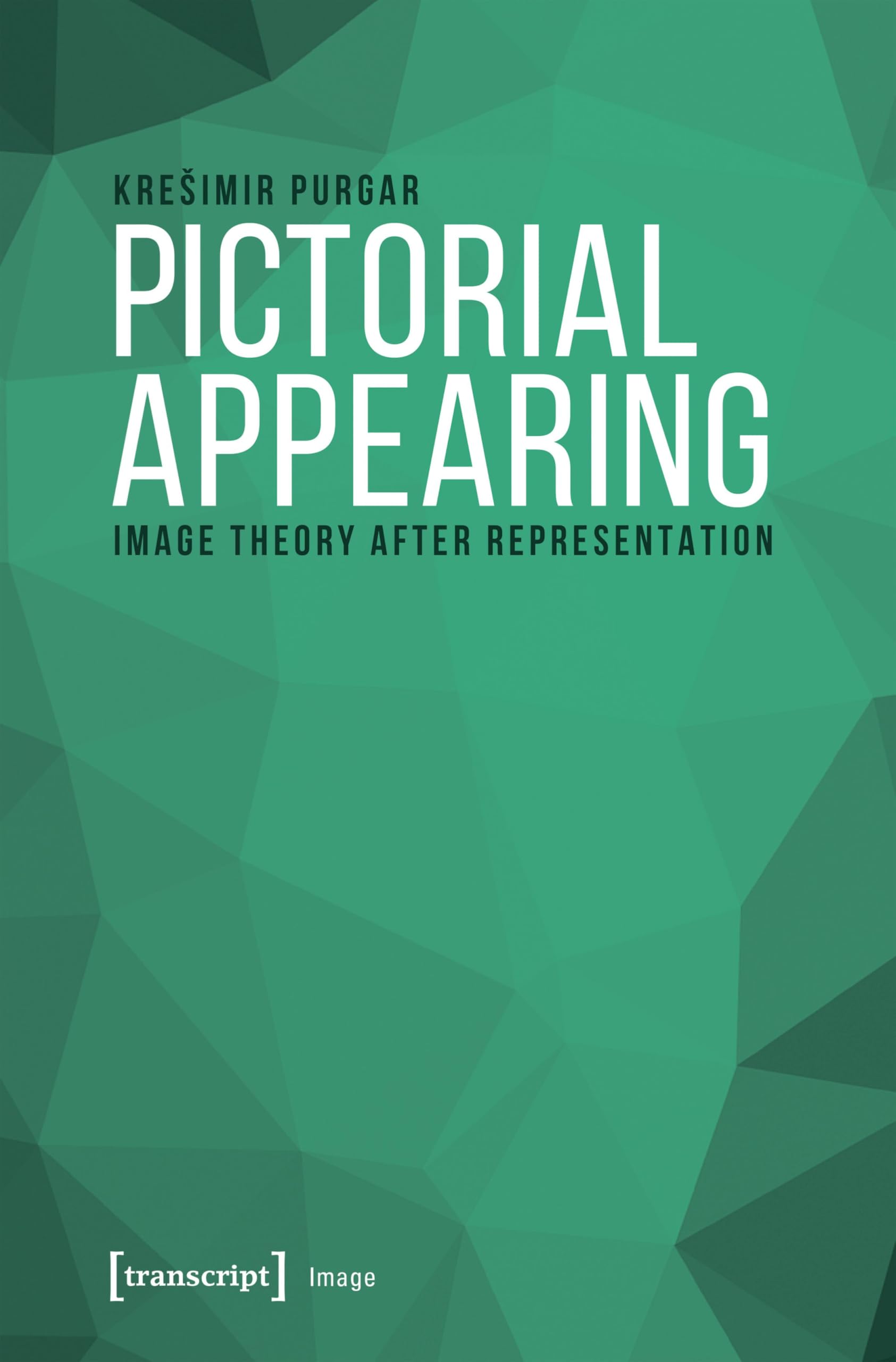 Pictorial Appearing approfondir la théorie de l'image après la représentation livre