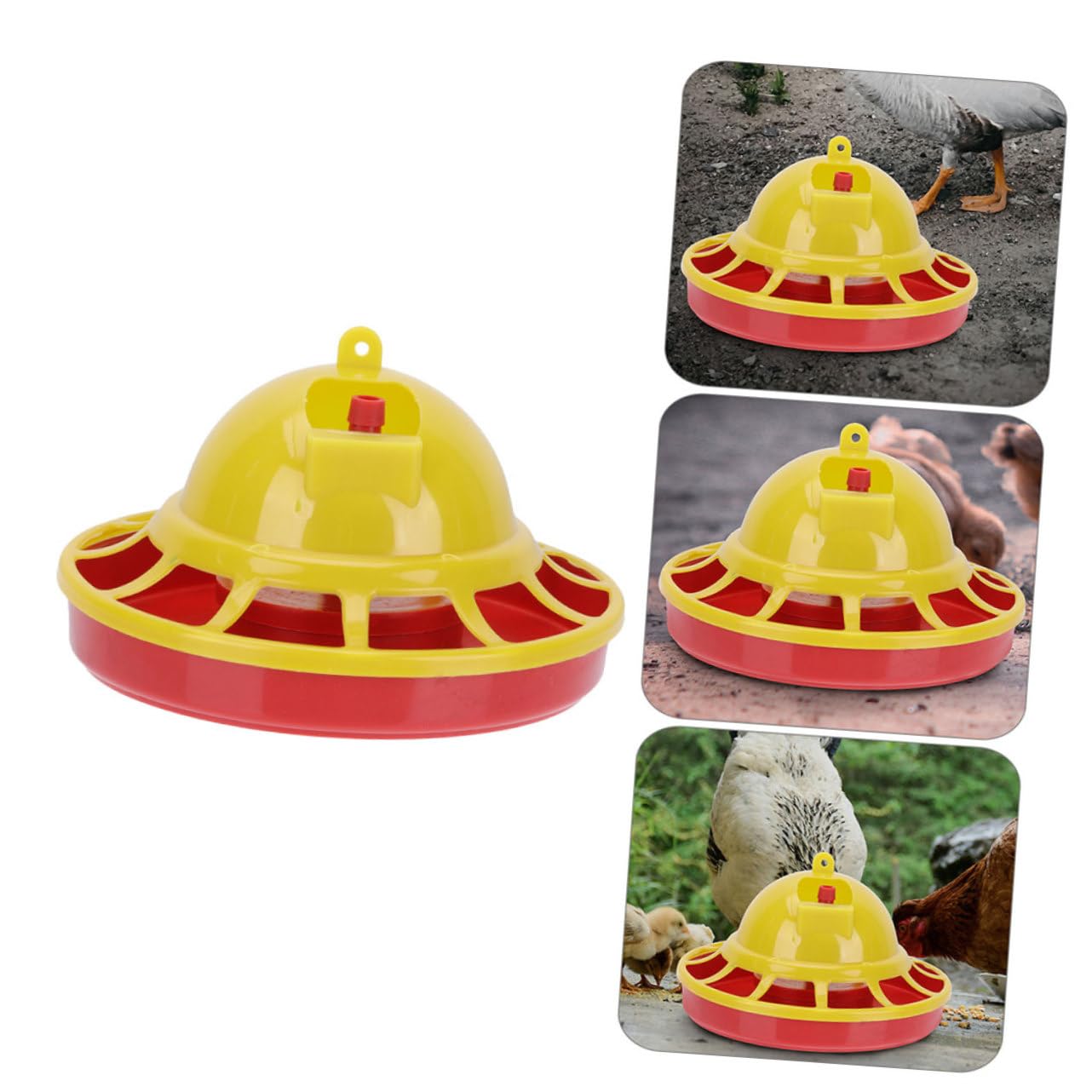 POPETPOP 4 Pièces d'eau pour Pigeons De Nourriture pour Volailles Mangeoire pour Poussins Support d'eau pour Volaille Tasse d'alimentation pour Oiseaux Kit