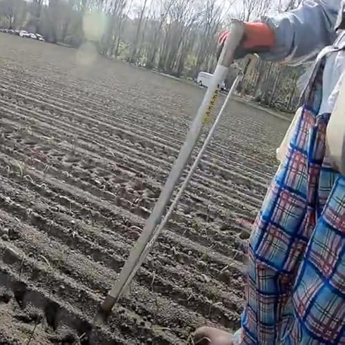 LEz[ ʂ˂A@ A~ P047-Bb ʂ˂ ʔK A _@ _@ A~ A At A cڐA ڐA@ At c cA y  蓮 蓮 y ^ kC イف[ L[z[ [ف[ Qف[ AVO