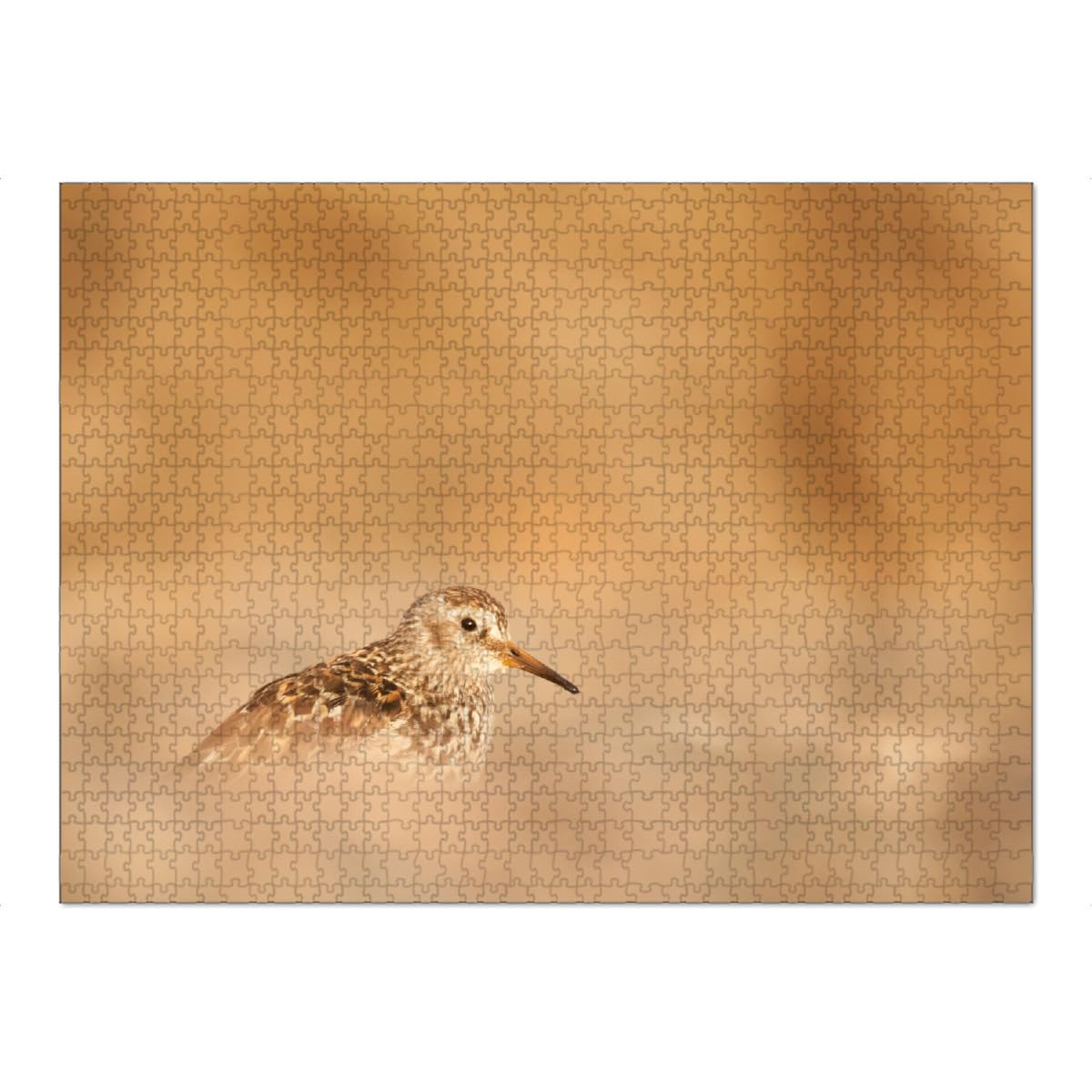 artboxONE-Puzzle XXL (1500 Teile) Natur Meerstrandläufer - Puzzle naturfoto Aves Bird