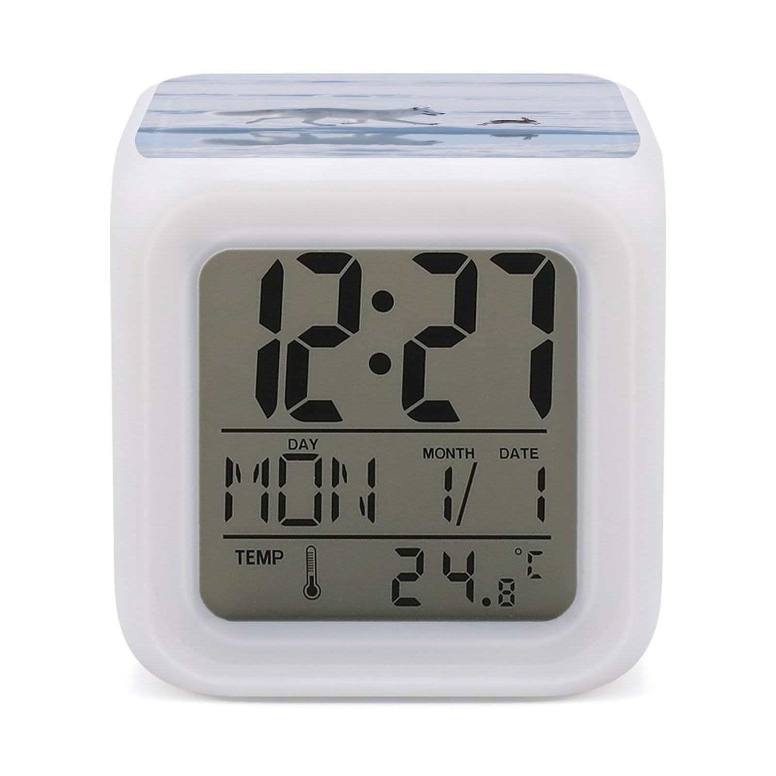 Reloj despertador a pilas Arctic Fox Chases con luces LED de colores