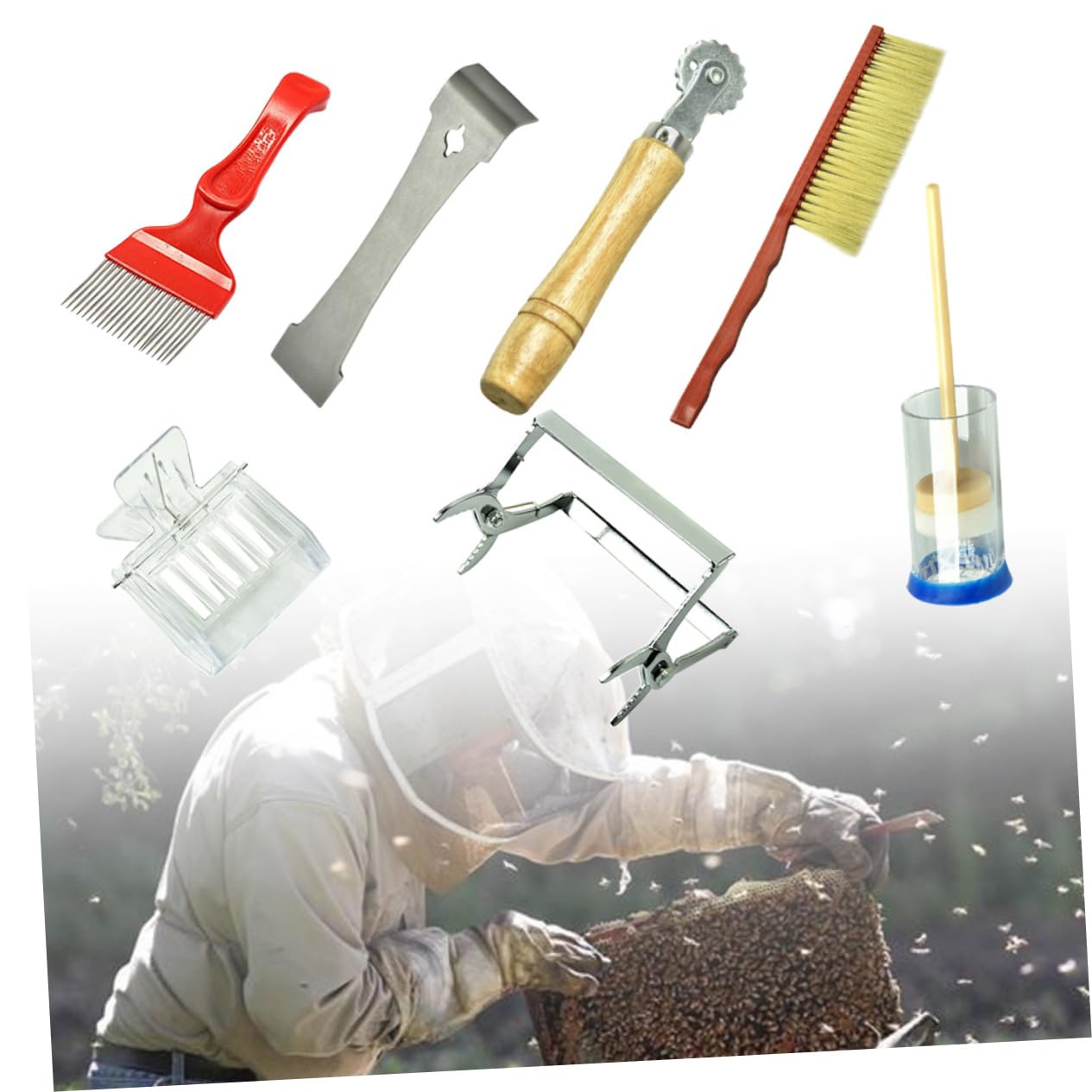 VANZACK 7pezzi Strumenti Apicoltura Attrezzi Per Apicoltori Forniture Per Apicoltura Spazzola Per Api Marcatura Strumenti e