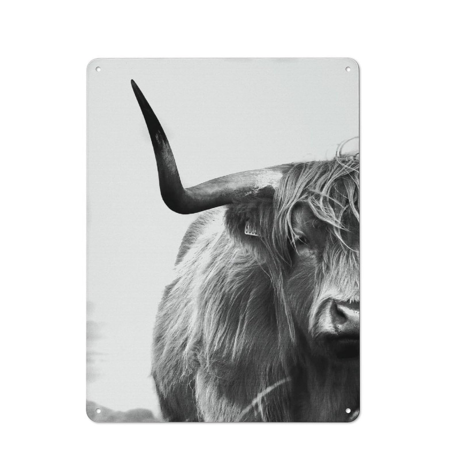 Junmoney Style-19 Highland Cow Black & White Vintage Tin Wall Plaque 40X30cm For Hobby Room Or Studio, A Decorative Metal Sign For Hobby Rooms And Studios