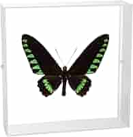 61p3r7kdAUL._AC_SY200_QL15_.jpg