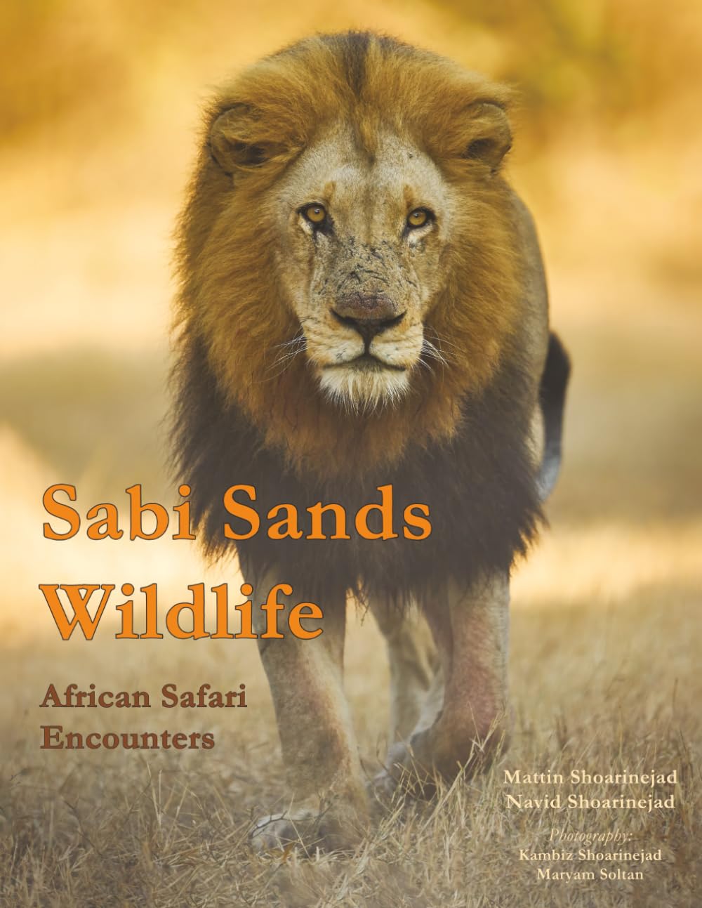 Sabi Sands Wildlife: African Safari Encounters