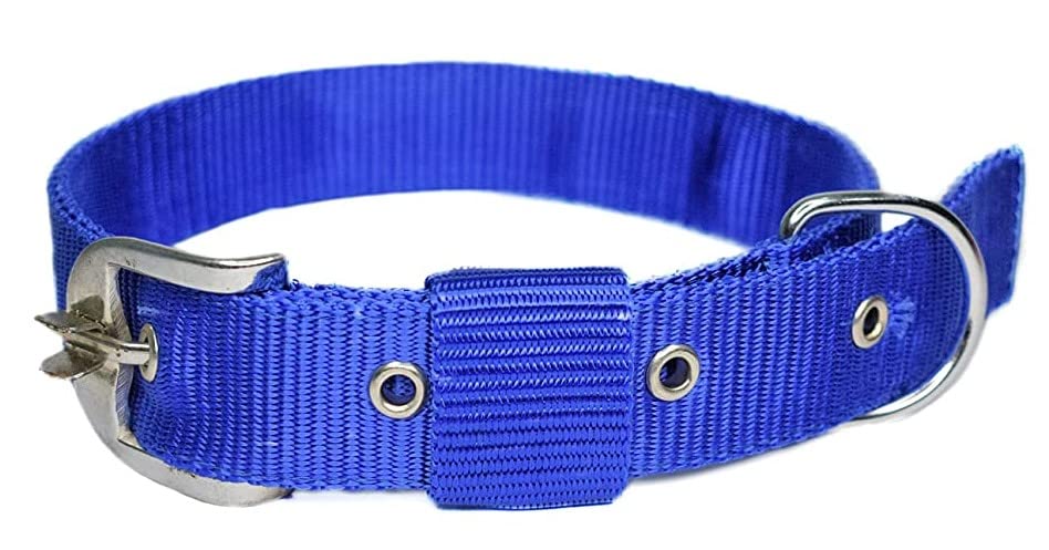 Image of Dog Buckle Leash, Dog Export Quality Nylon Easy to Control Buckle Everyday Neck Collar Belt and Hand Weaved Durable Training Rope Leash Set (Blue)