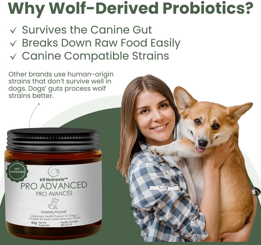 Dog Probiotic Powder for Digestive Support | 5 Billion CFU | Gut Health & Immunity Support | Mix-in Powder | 60g | Unflavoured (60g)