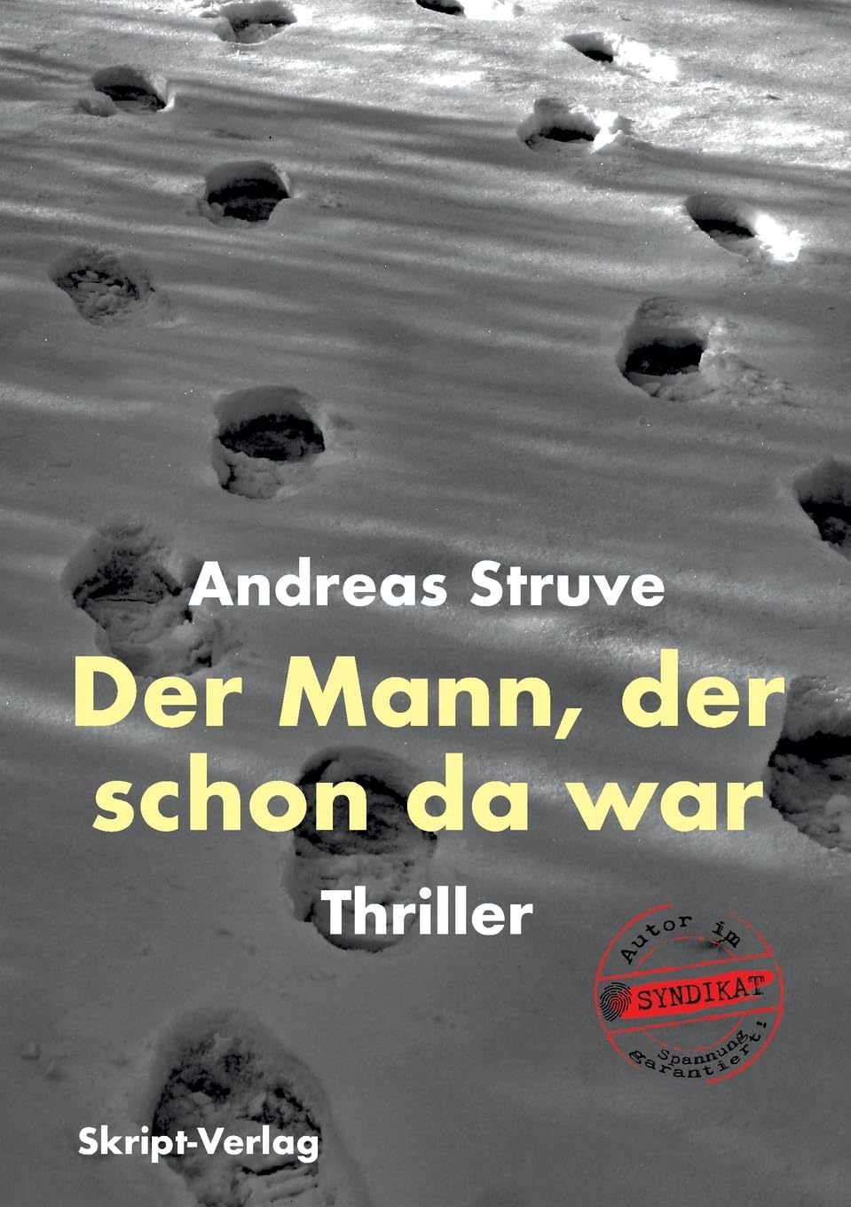 Der Mann, der schon da war: Thriller