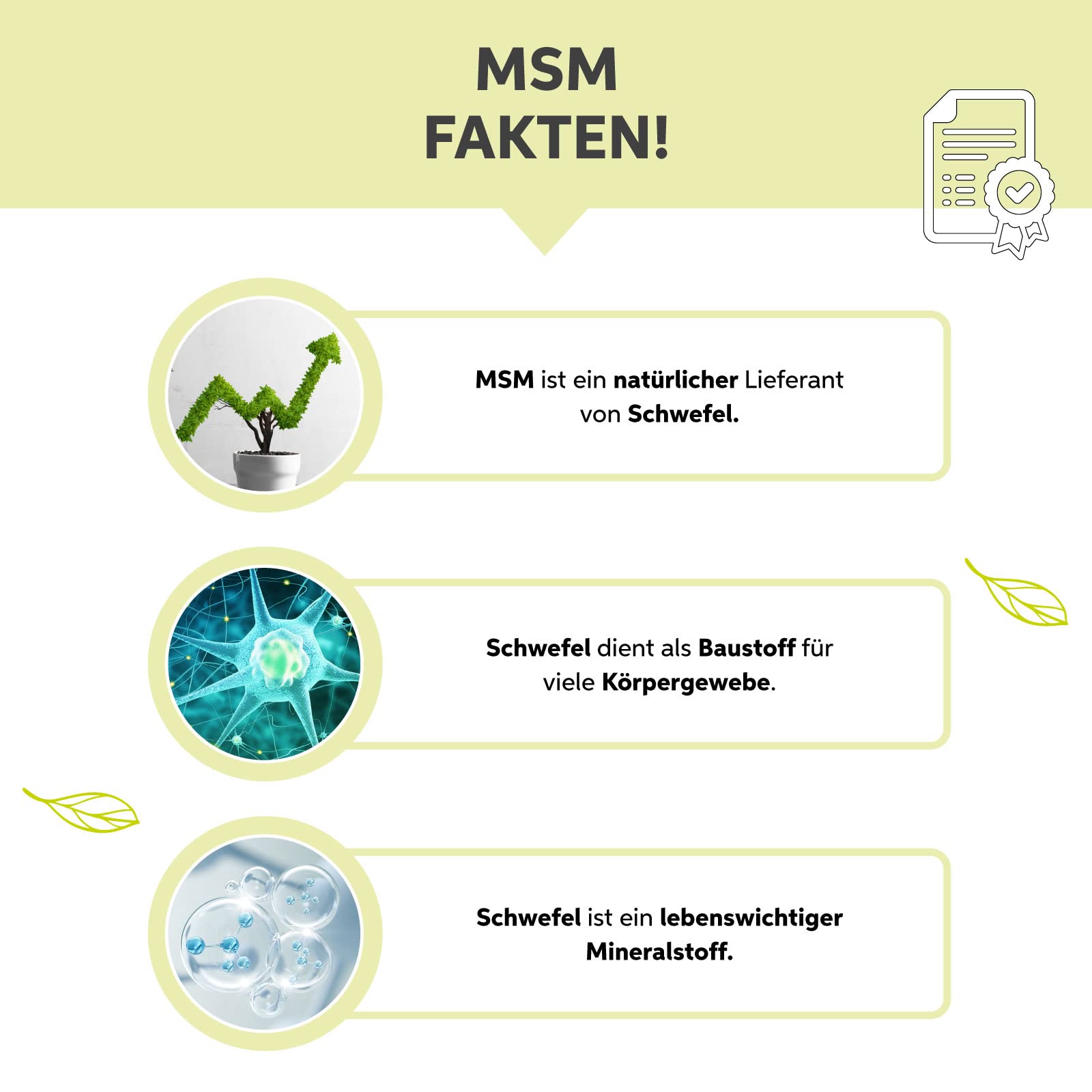 MSM Cápsulas 1000 unidades | Alta dosis diaria de 2280 mg de azufre orgánico | Metilsulfonilmetano premium sin aditivos | Vegano