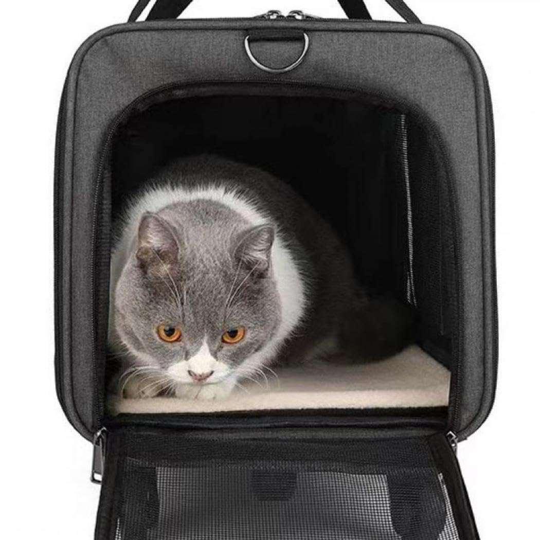 Amazon | XUDREZ ペットキャリー キャスター付き 猫用 耐荷重15KG 猫