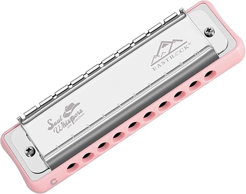 Miniatura 11 de EASTROCK Armónica profesional de 10 agujeros totalmente metálica diatónica, órgano de boca para adultos, clave de C para principiantes y estudiantes