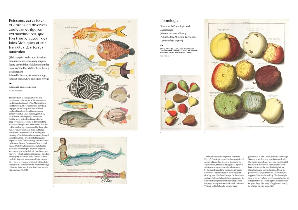 The Art of the Illustrated Book (V&A): 700 Years of History and Design
