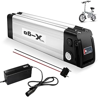 48V 13AH Ebike Battery, Silver Fish Electric Lithium-ion Bike Battery with Charger, Safe Lock, Keys for 200W 250W 350W 500W 750W Electric Bicycles Motor (48V 13AH 2 Pin (100-750W))