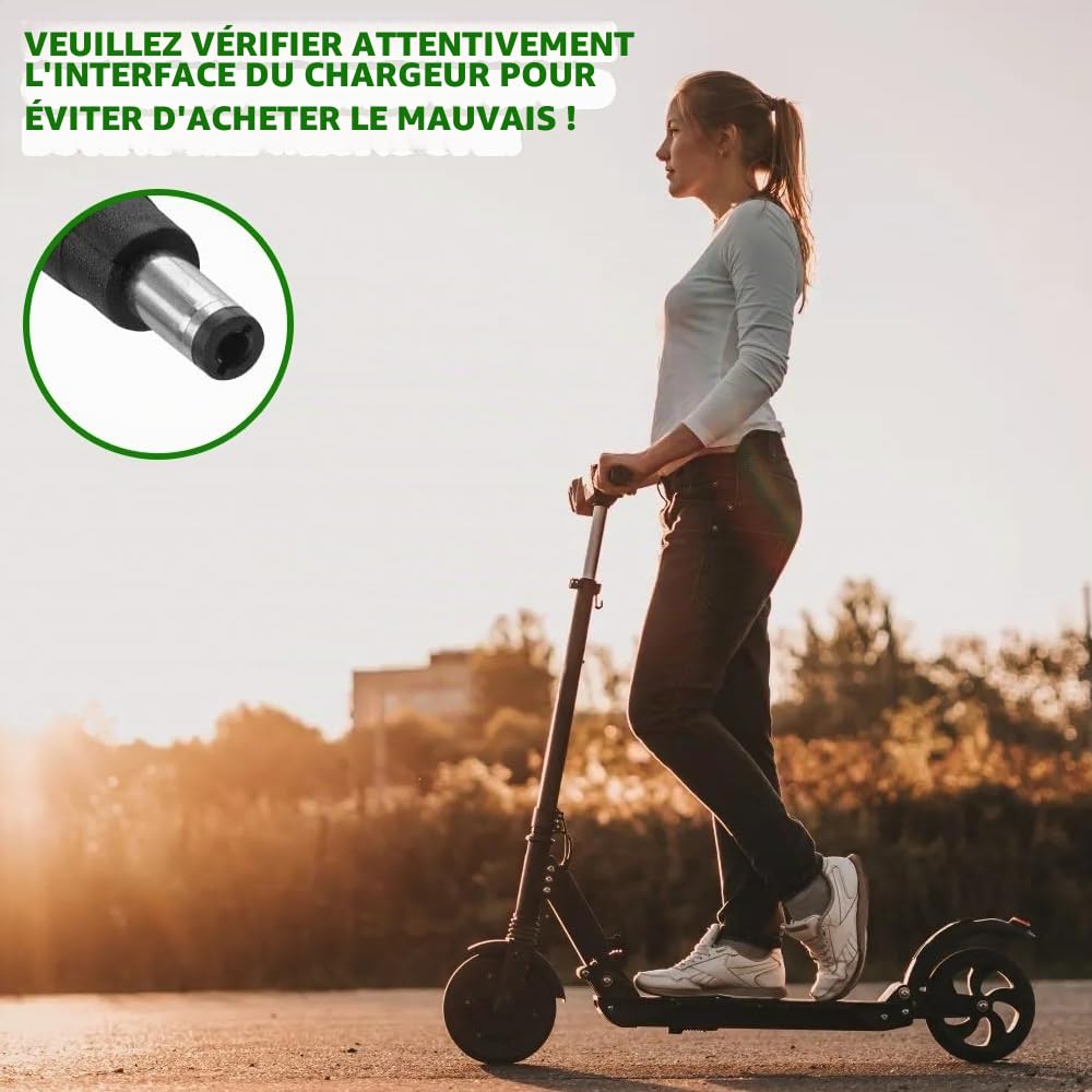 Chargeur Trottinette électrique, 42V 2A Chargeur Hoverboard, Charge Rapide pour Hoverboard, Bici Equilibrata, Scooter électrique, E-Bike DC 5,5 x 2,5 MM