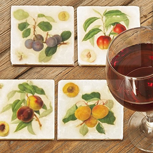Set of 4 Marble Coasters - RHS Fruit Designs