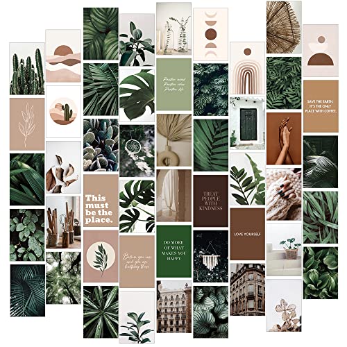 Image of Botanical Wall Art, 50pcs Botanical Wall Decor Aesthetic Pictures, Photo Collage Kit for Wall Aesthetic, Plant Pictures Wall Art, Floral Prints