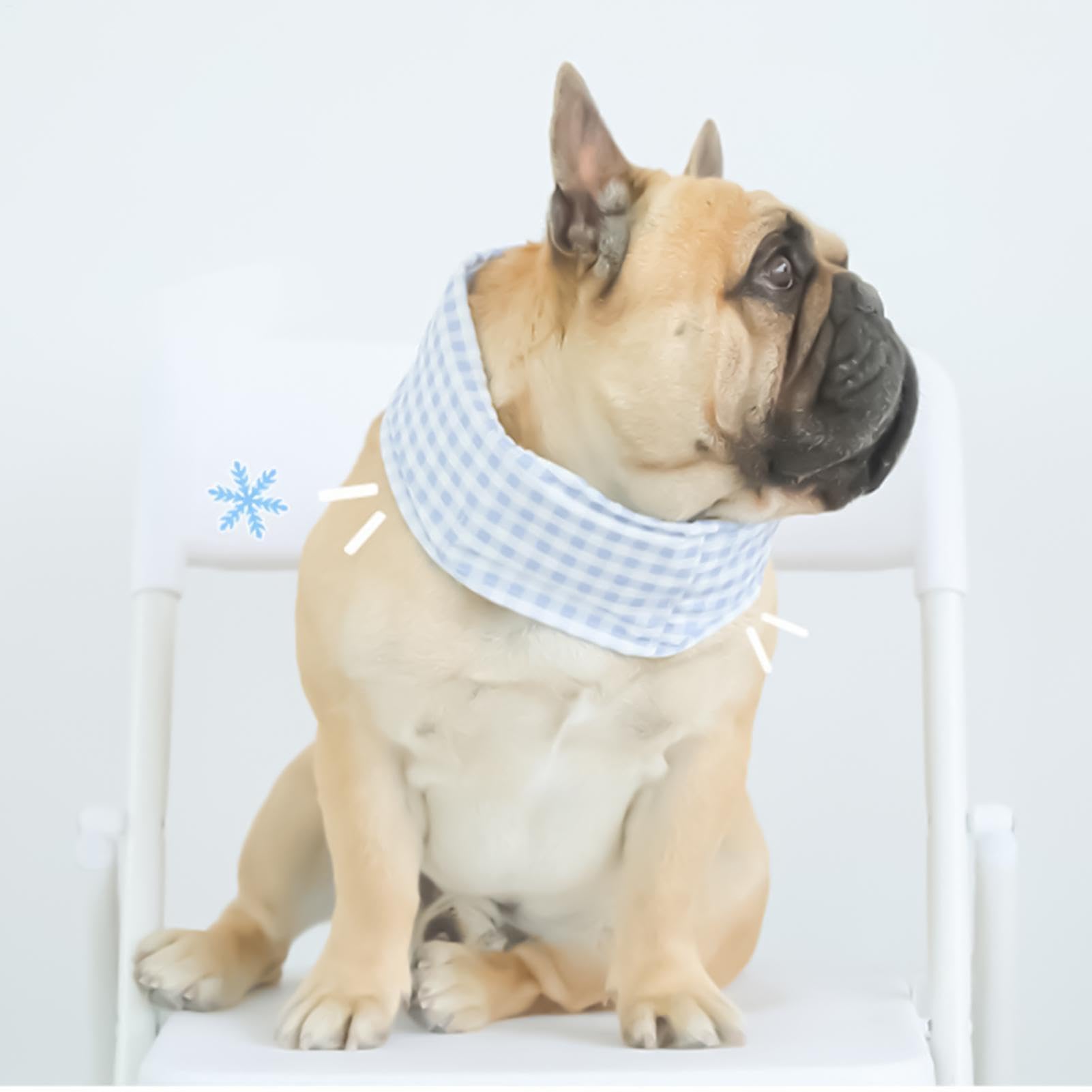 Kühlendes Halstuch-Halsband für Hunde, Outdoor- -Schal, Kältetuch