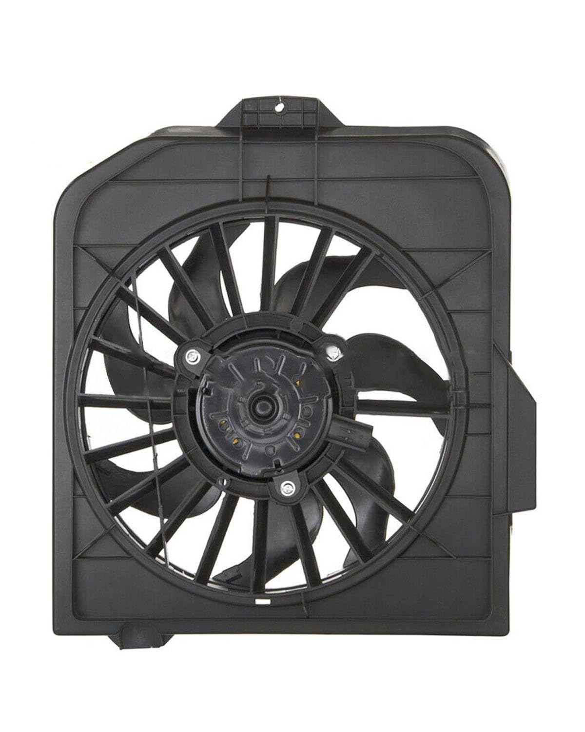 Femme Fatale CDまとめ売り femme fatale POP UP STORE 2022