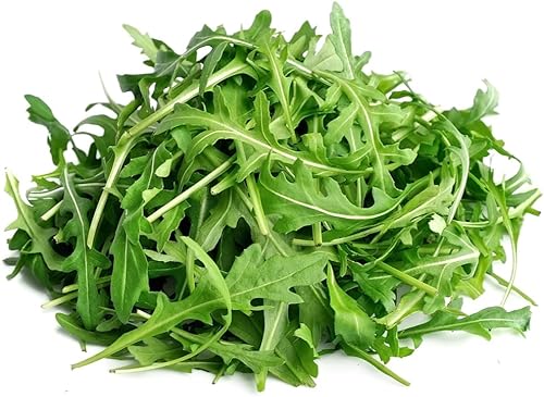 Miniatura 3 de Semillas de rúcula silvestre (3200 semillas)