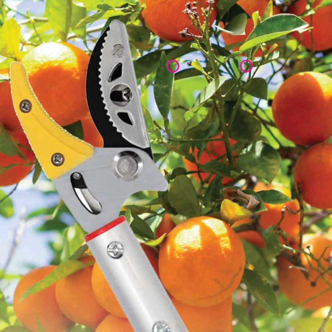 Tijeras De Podar Telescópicas - Tijeras De Rosas Y De Flores - Sierra De Ramas - Hoja De Sierra - Cincel - Acero Inoxidable - Rojo Y Metal - Longitud Ajustable 130 A 220 Cm