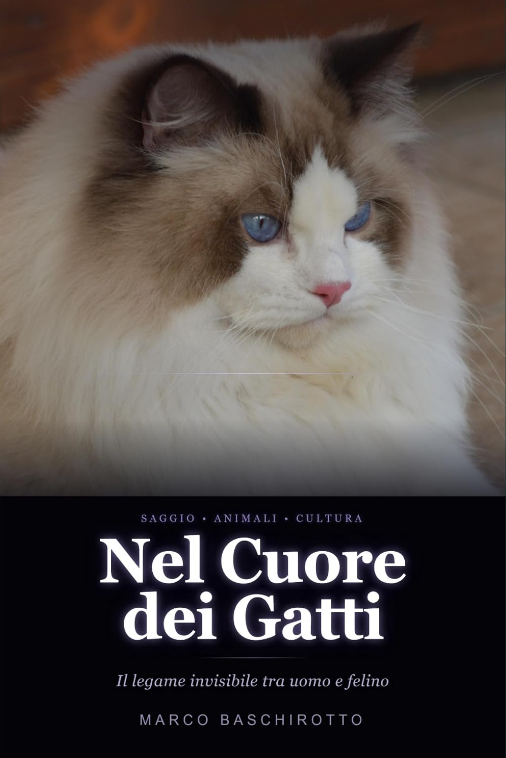 Nel Cuore dei Gatti: Il legame invisibile tra uomo e felino