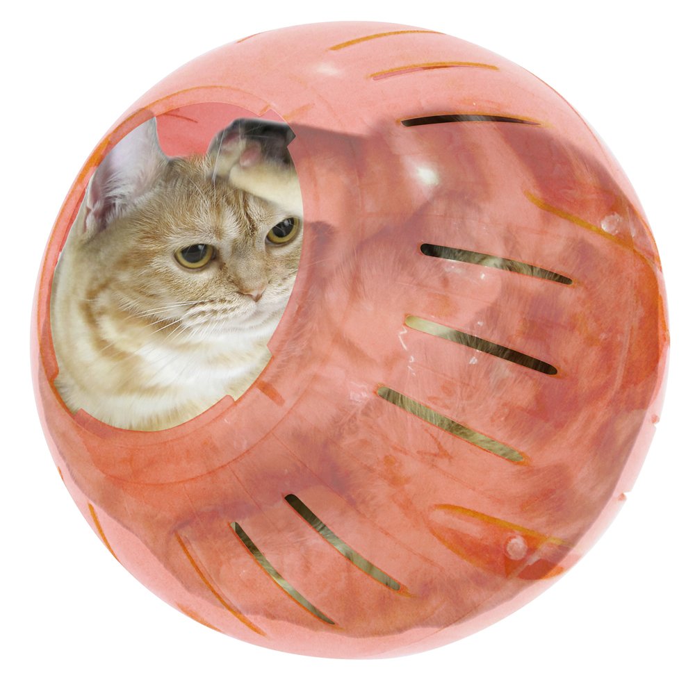 にゃん Amazon.co.jp: セキグチ ねこぺん日和 ぺんちゃん ぬいぐるみ