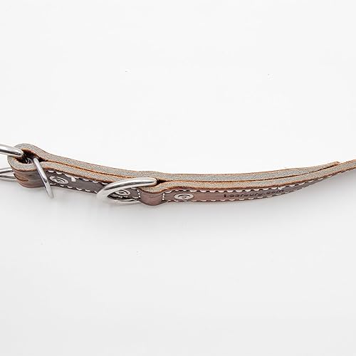 Miniatura 3 de Leerburg 's Amish Soft Latigo - Cuello de cuero de 1 pulgada de ancho (tamaños para cuellos de 18 a 25 pulgadas) con herrajes de acero inoxidable