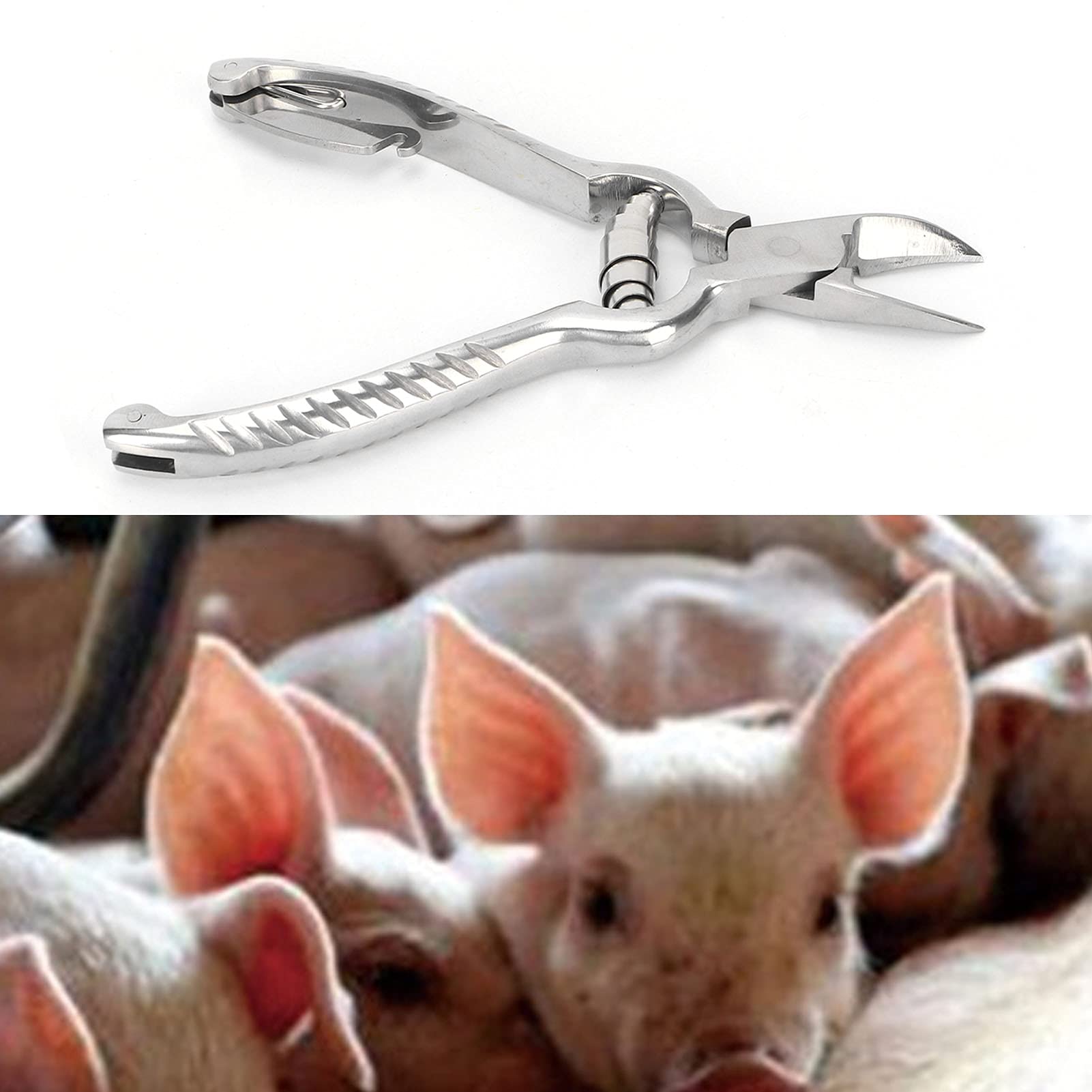 Nylon Pins for Poultry Blinders