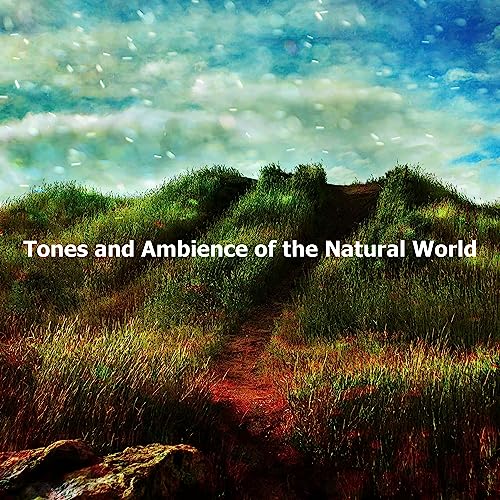 Amazon.com: Tones and Ambience of the Natural World : Sleep Sounds Of