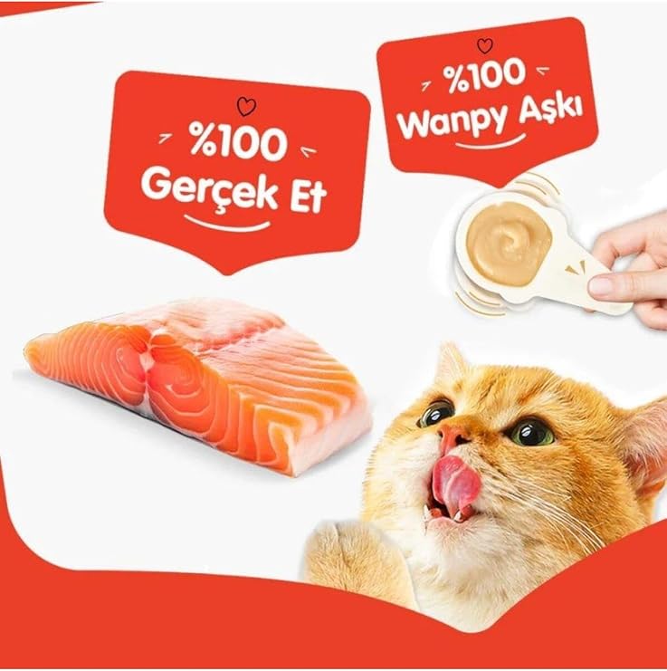 Wanpy Somonlu Kaşıklı Kedi Ödül Kreması 10x16 G