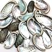 PEPPERLONELY 25 PC Natural Green Donkey Ear Abalone Sea Shells, 2 Inch ~ 3-1/4 Inch