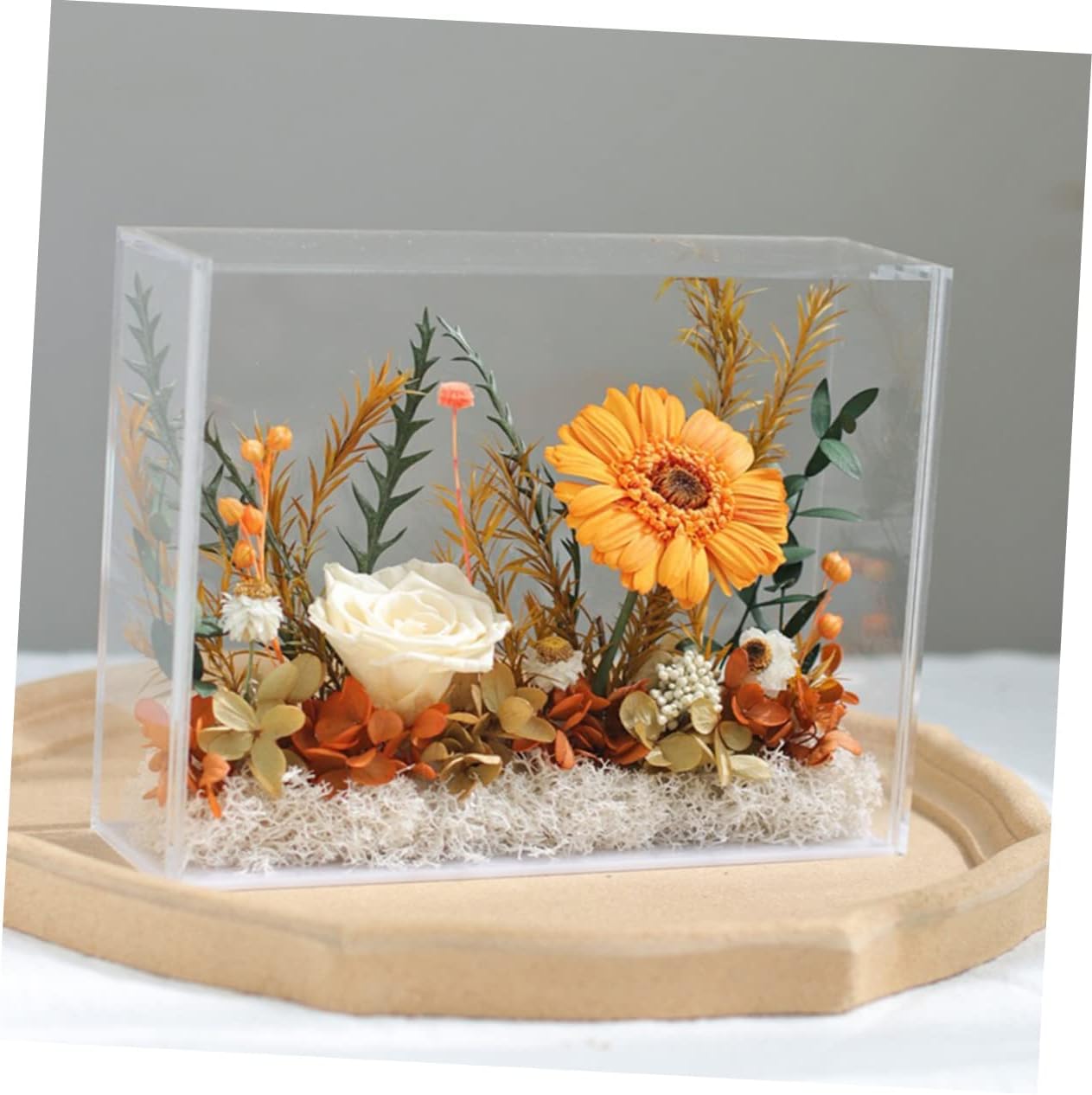 BESTOYARD 2pcs Transparent Display Case for Dried Flowers Figures Elegant Shadow Box for Home Decor and Keepsakes for Photos and