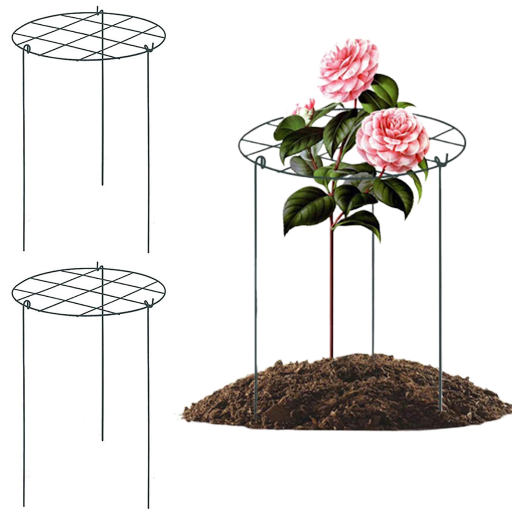 Cages à tomates et tuteurs à 3 pieds pour maintenir les plantes droites