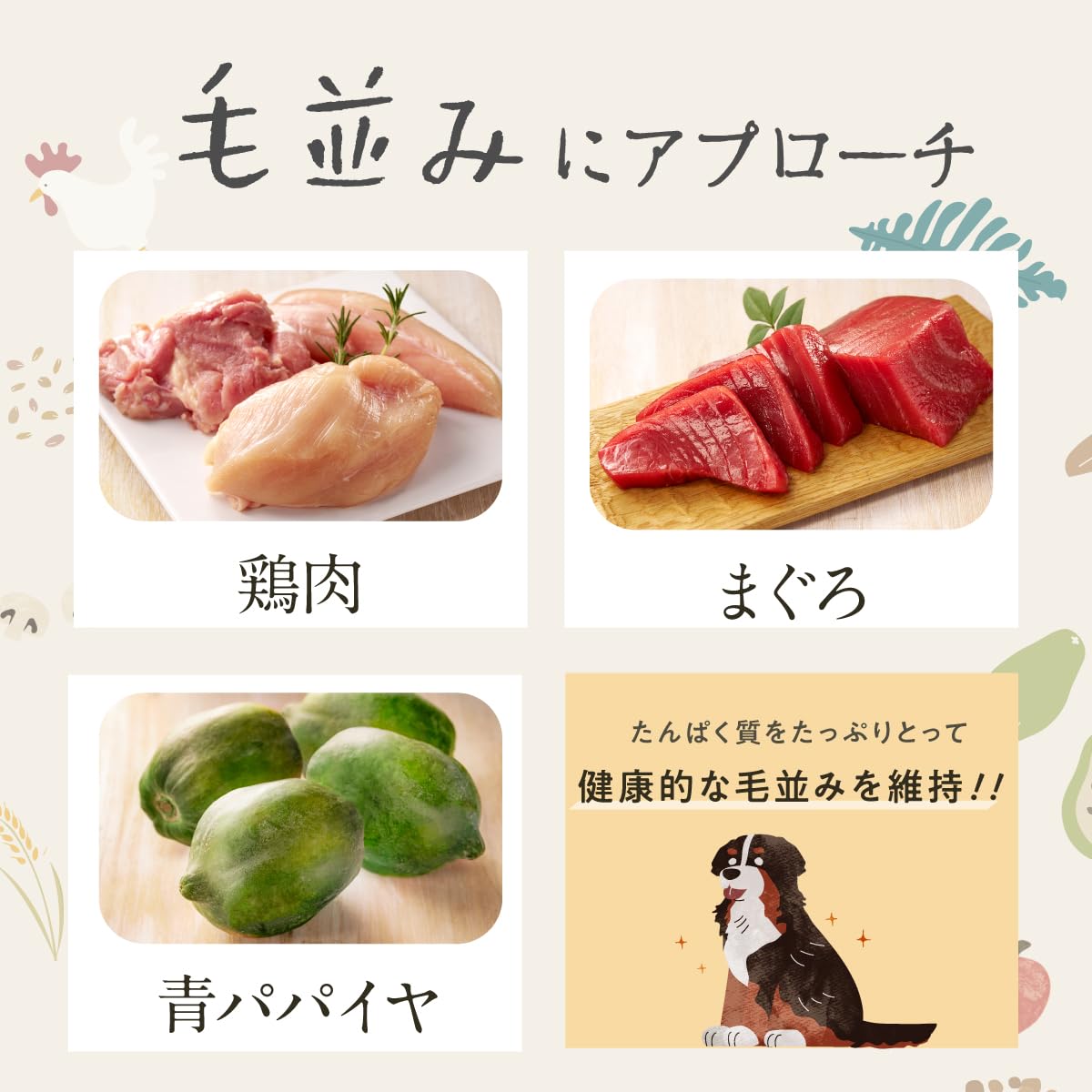 コノコトトモニ このこのごはん Amazon.co.jp: コノコトトモニ 大型犬のための このこのごはん