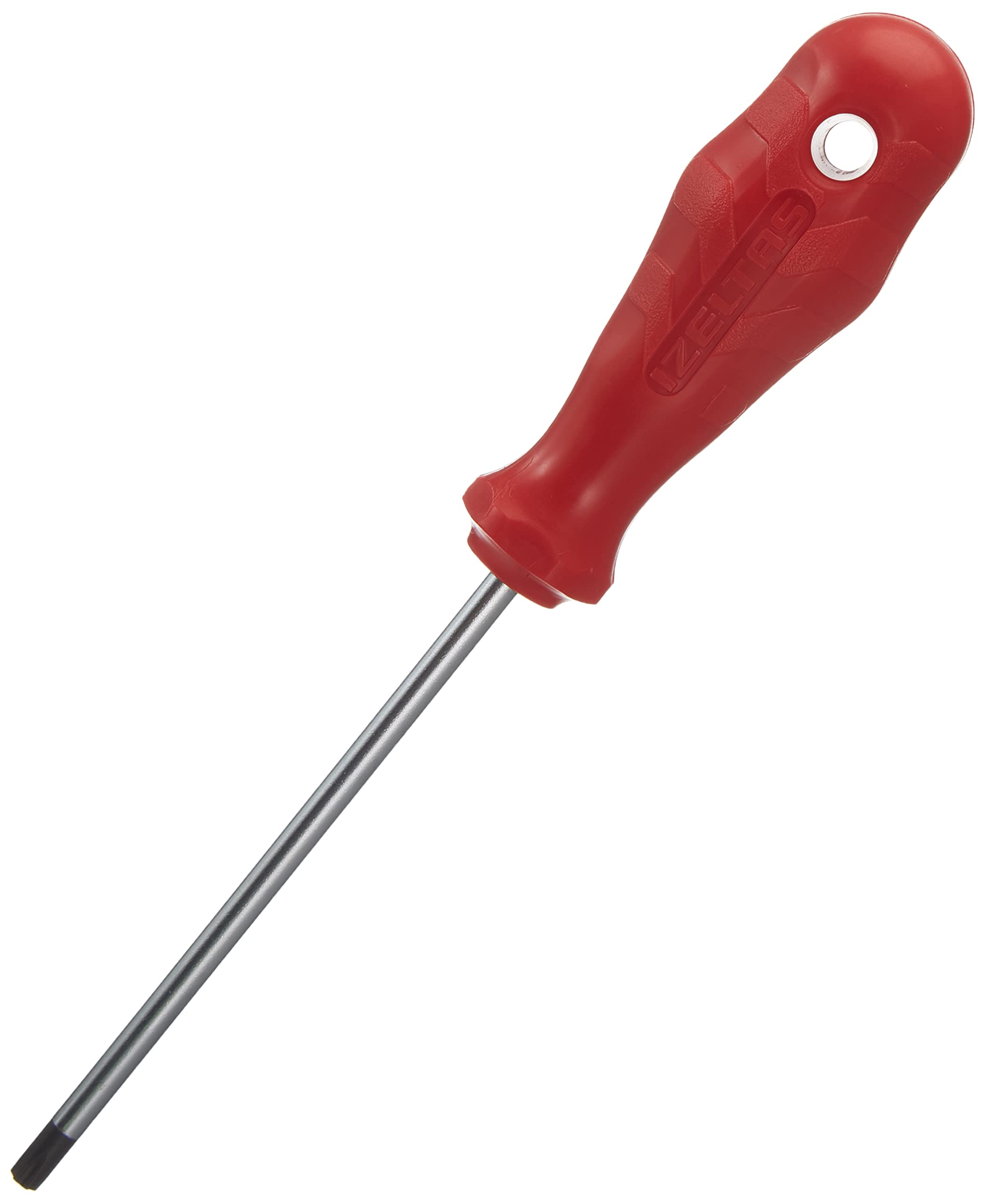TR 25 DELİKLİ TORX UÇLU TORNAVİDA